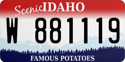 ID license plate W881119