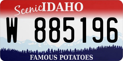 ID license plate W885196