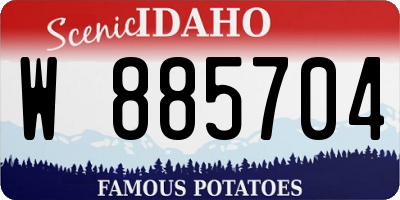 ID license plate W885704
