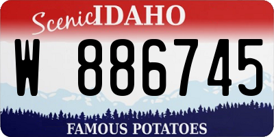 ID license plate W886745