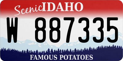 ID license plate W887335