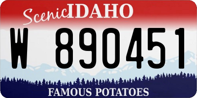 ID license plate W890451