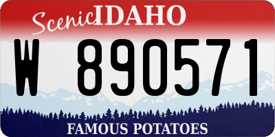 ID license plate W890571