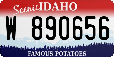 ID license plate W890656