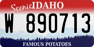 ID license plate W890713