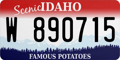 ID license plate W890715