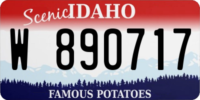 ID license plate W890717
