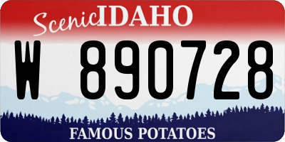 ID license plate W890728
