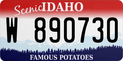 ID license plate W890730
