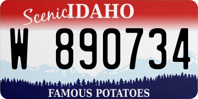 ID license plate W890734