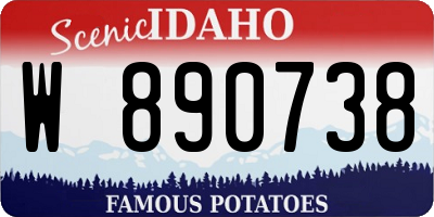 ID license plate W890738