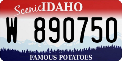 ID license plate W890750