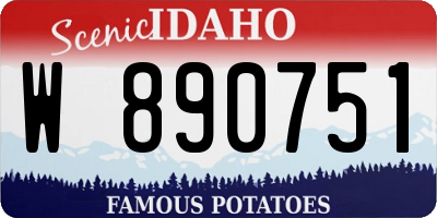 ID license plate W890751