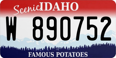 ID license plate W890752