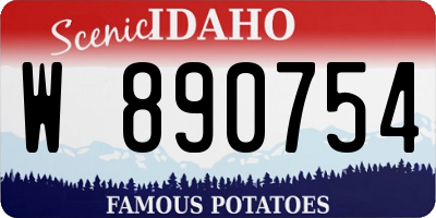 ID license plate W890754