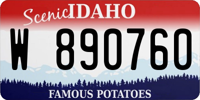 ID license plate W890760