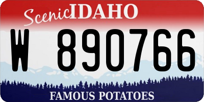 ID license plate W890766