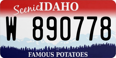 ID license plate W890778