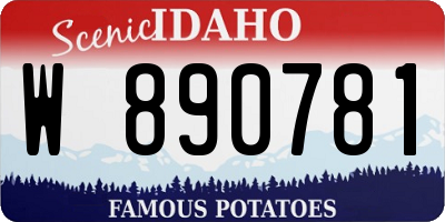 ID license plate W890781