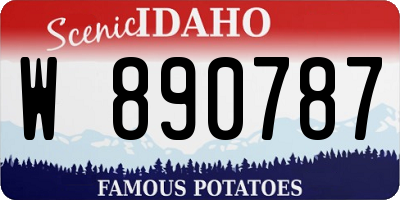 ID license plate W890787