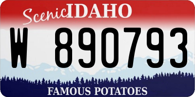 ID license plate W890793