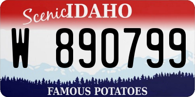 ID license plate W890799