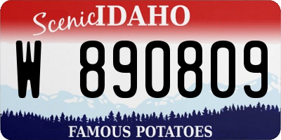ID license plate W890809