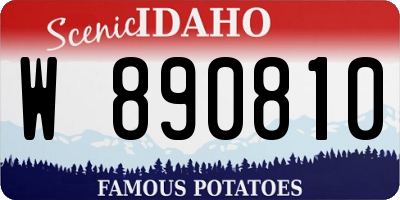 ID license plate W890810