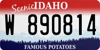 ID license plate W890814