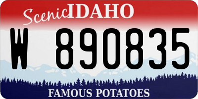ID license plate W890835