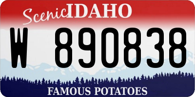 ID license plate W890838