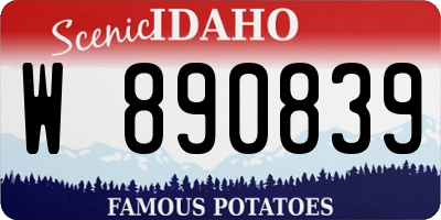 ID license plate W890839