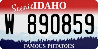 ID license plate W890859