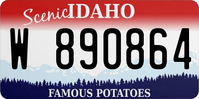 ID license plate W890864