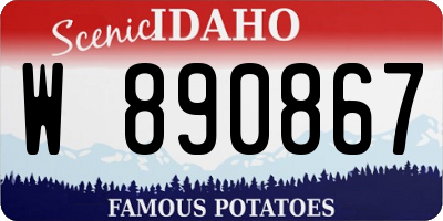 ID license plate W890867