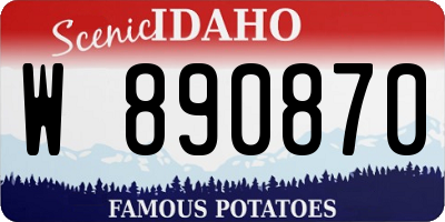 ID license plate W890870
