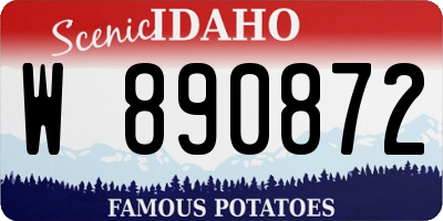 ID license plate W890872