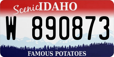ID license plate W890873