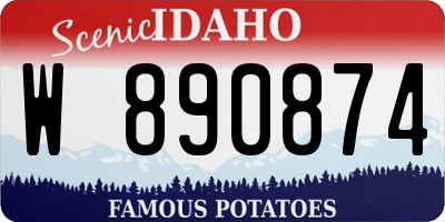 ID license plate W890874