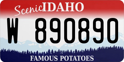 ID license plate W890890