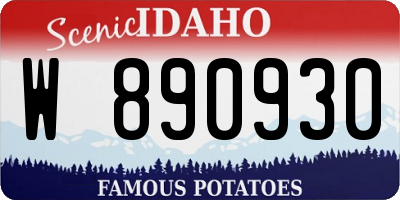 ID license plate W890930