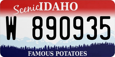 ID license plate W890935