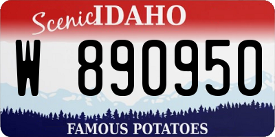 ID license plate W890950