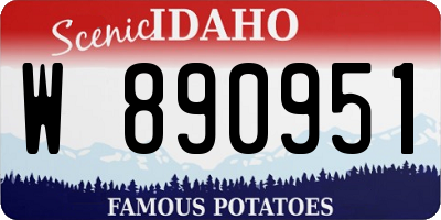 ID license plate W890951