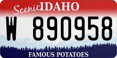 ID license plate W890958