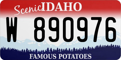 ID license plate W890976