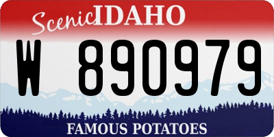 ID license plate W890979