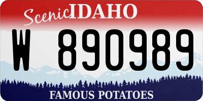 ID license plate W890989