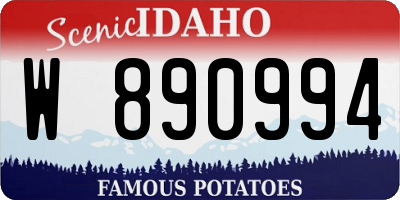 ID license plate W890994