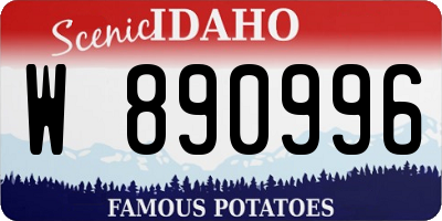 ID license plate W890996